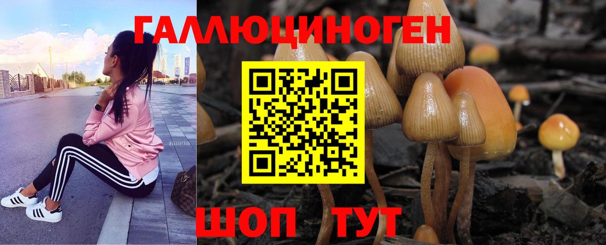 Псилоцибиновые грибы мицелий  продажа наркотиков  Кудымкар  Галлюциногенные грибы Cubensis  Вход с VPN 