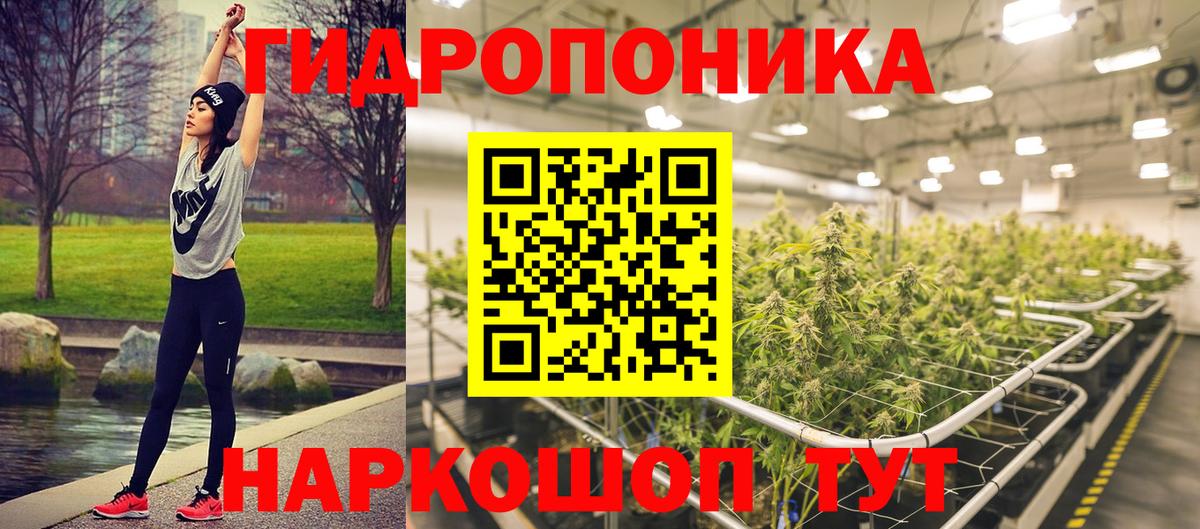 Шишки марихуана SATIVA & INDICA Кудымкар